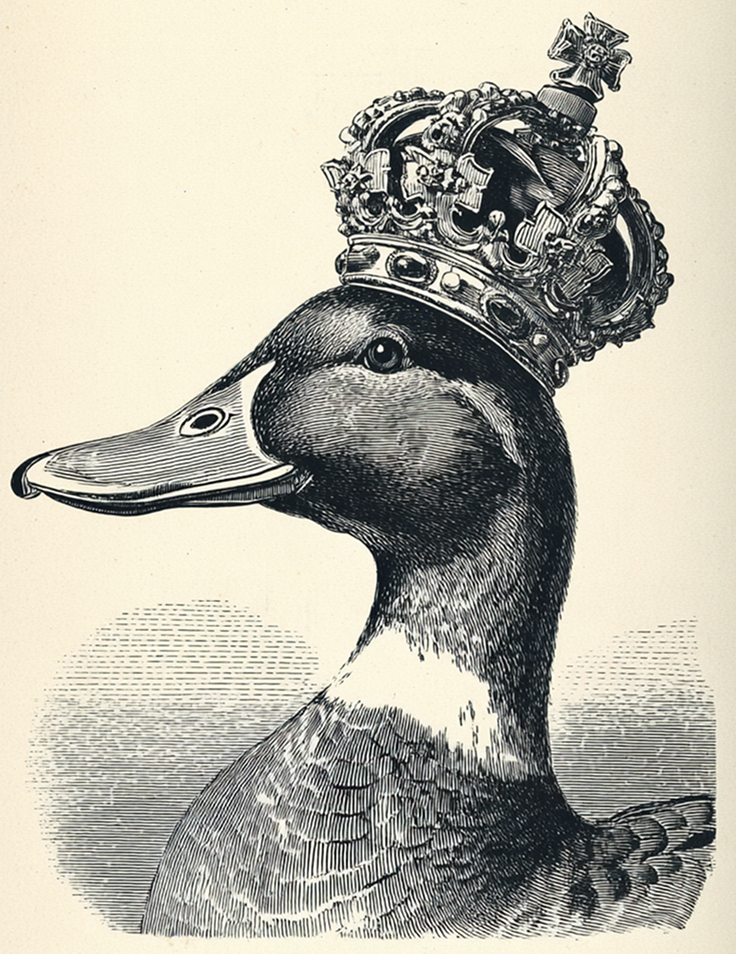 Royal Duck Engraving